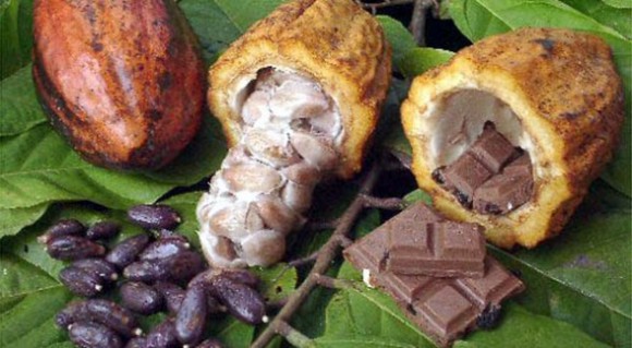 Chocolate El Ceibo